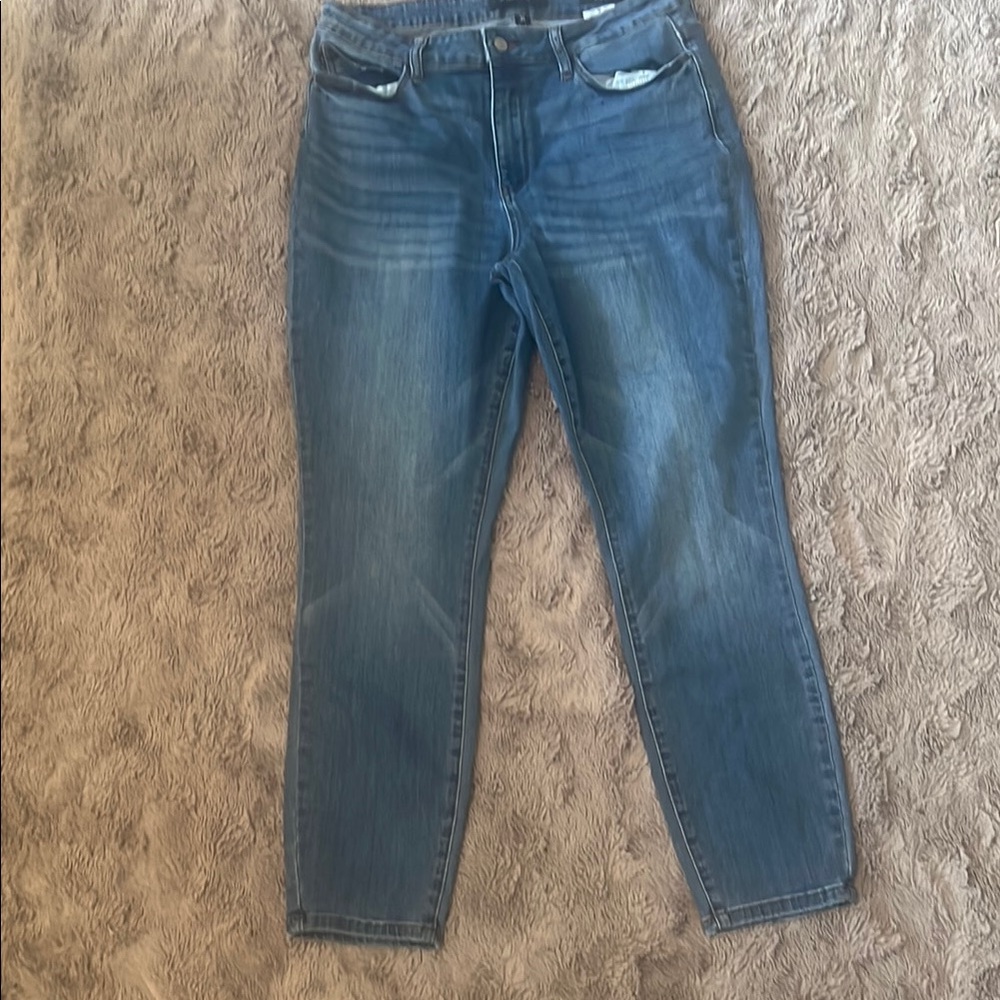 Judy Blue Skinny Jeans Classic Blue Denim